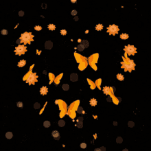 nat natou artwork natou shine on butterfly