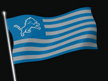 Detroit Lions Lions Football GIF