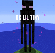 a picture of an enderman in minecraft with the words ok lil tiny on it