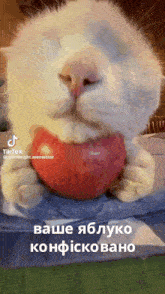 Apple Confiscated GIF