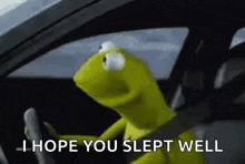 kermit the frog is driving a car with the words `` i hope you slept well '' written on the screen .