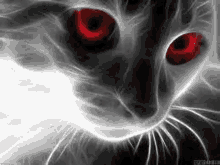 Dead Ghost Cat GIF - Dead Ghost Cat GIFs