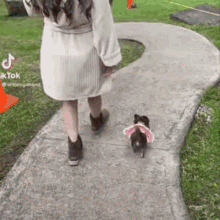 karol sevilla tik tok girl walking her dog