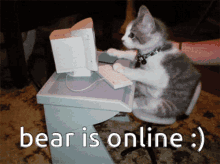Bear Online Online GIF - Bear Online Online GIFs