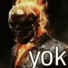 Yok Ghost Rider GIF - Yok Ghost Rider Ghost GIFs