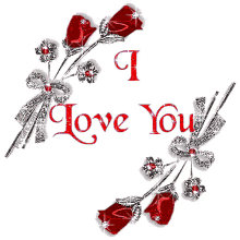 red roses roses love always love you i love you