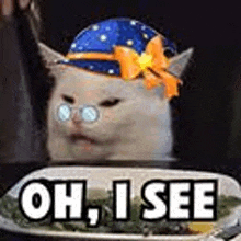 a cat wearing a hat and glasses is sitting in front of a plate of food and says oh , i see .