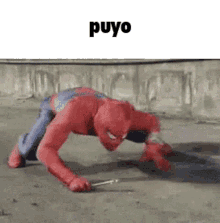 Puyo Puyo Puyo GIF - Puyo Puyo Puyo Tetris GIFs