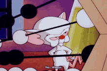 Pinky And The Brain Yes Always GIF - Pinky And The Brain The Brain Yes Always GIFs