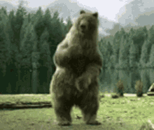 Bear Dancing GIF - Bear Dancing Lets Party GIFs