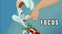 Focus Roger Rabbit GIF - Focus Roger Rabbit Pay Attention GIFs