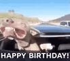 Happybirthday Dog GIF - Happybirthday Dog Drive GIFs