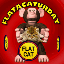 Flatacaturday Saturday GIF - Flatacaturday Caturday Saturday GIFs