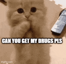 a cat is covering its face next to a remote control with the words can you get my drugs pls