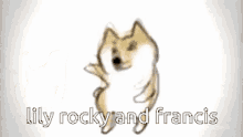 Rocky Lily GIF - Rocky Lily Francis GIFs