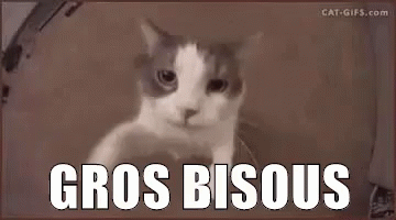 Gros Bisous GIF - Gros Bisous - Discover & Share GIFs
