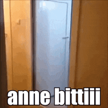 a picture of a door that says anne bittiii on it