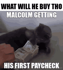 malcolm malcolm finally getting his money up instead of funny up what will he buy gaming cat