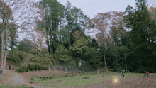 a group of people are playing a game of frisbee in a field with trees in the background