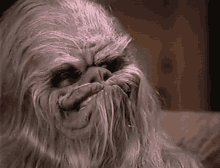 Ogvhs Wookie GIF - Ogvhs Wookie Yes GIFs