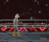 a man in a chicken costume is in a wrestling ring with a crowd watching