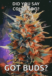 Mj Marijuana GIF - Mj Marijuana Plants GIFs