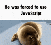 Javascript Sad Programmer GIF - Javascript Sad Programmer Sad Seal GIFs