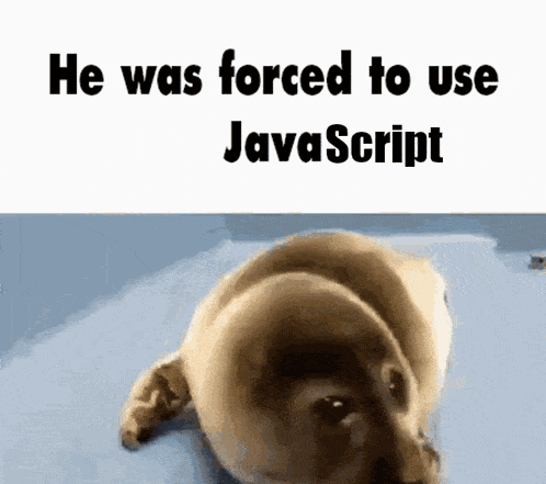 a picture of a puppy with the words he was forced to use javascript