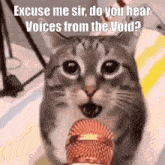 Voices Of The Void Cat GIF - Voices Of The Void Cat Interview GIFs