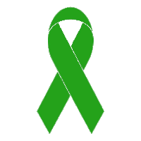 a green ribbon on a white background that looks like a cross