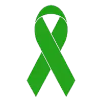 a green ribbon on a white background that looks like a cross