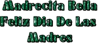 madrecita bella feliz dia de las madres is written in green glitter