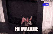 Hi Maddie Family Hangout GIF - Hi Maddie Family Hangout Maddie From Family Hangout GIFs