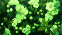 a bunch of green flowers on a tree branch