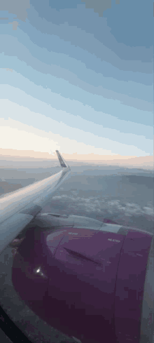 Fly Flight GIF