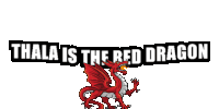a red dragon with the words " thala is the red dragon " below it