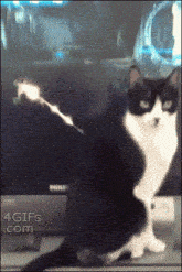 Samus Cat GIF - Samus Cat GIFs