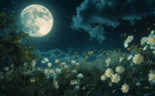 a full moon shines brightly over a field of flowers at night .