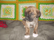 Baby Buster GIF - Baby Buster GIFs