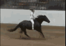 Western GIF - Horseback Riding Horseback Horse GIFs