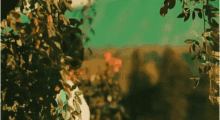 Hide Scared GIF - Hide Scared Prabhas GIFs