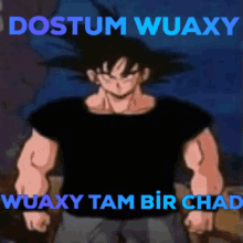 a cartoon character with the words dostum wuaxy wuaxy tam bir chad written above him