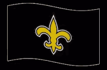 New Orleans Saints GIF - New Orleans Saints Who GIFs