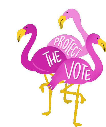 Protect The Vote Flamingo Sticker - Protect The Vote Flamingo Florida Stickers