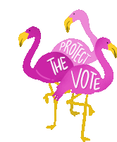 Protect The Vote Flamingo Sticker - Protect The Vote Flamingo Florida Stickers