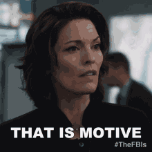 That Is Motive Special Agent In Charge Isobel Castille GIF
