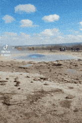 a group of people standing in a field with a tiktok watermark