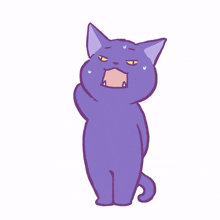 cat kitty purple cute embarrassed