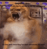 spongebob tower defense players when someone asks whats the code when the video did nt even release yet
