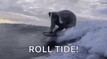 Roll Tide Roll Elephant GIF - Roll Tide Roll Elephant GIFs